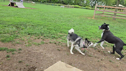 Dog run