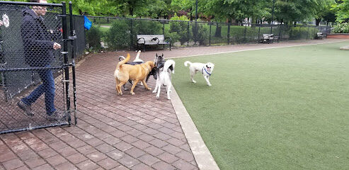 Big Dog Run