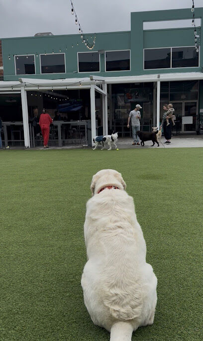 Fetch Park Manayunk