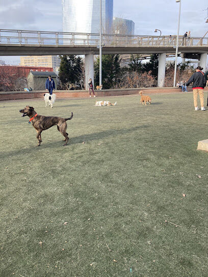 Little Dog Run