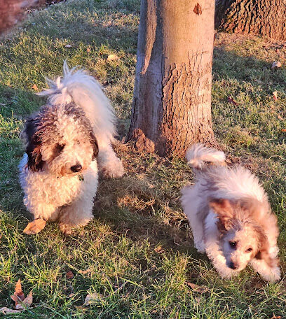 Philipsburg Dog Park