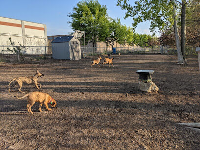 Bernard Dog Run