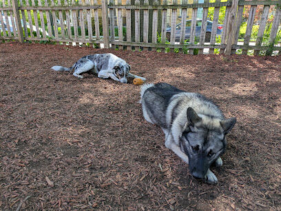 Dog Park