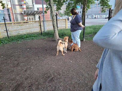 Downtown Dog Park