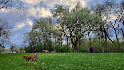 Frick Park Off-Leash Exercise Area