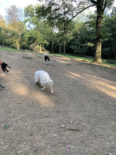 Riverview Dog Park