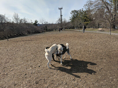 South Side Dog Park