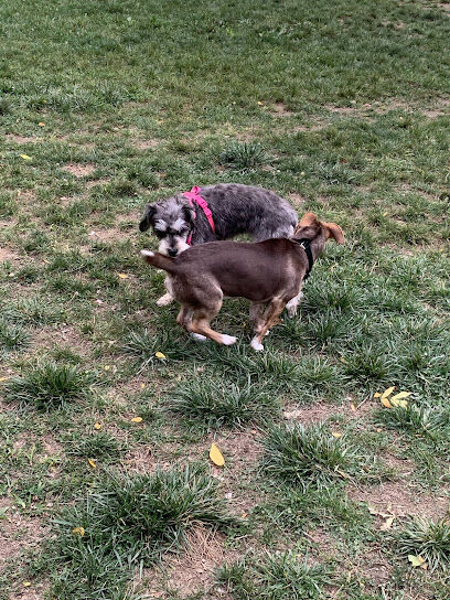 Boyce Park Dog Park 1