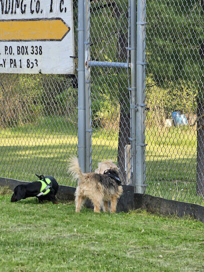 Sandy Beach Dog Park