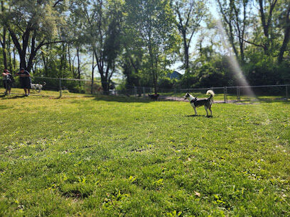 Stark Dog Park