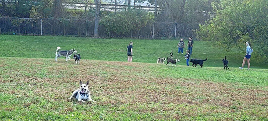 South Park Dog Park