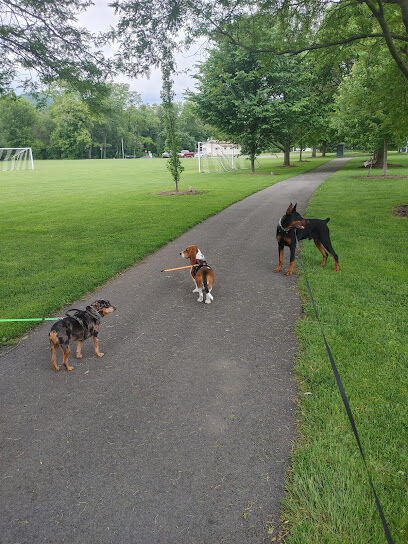 South Williamsport Dog Park