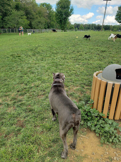 Tudek Dog Park