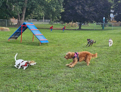 Tails on the Trail (Dog Park)