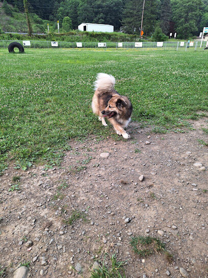 Woofington Dog Park