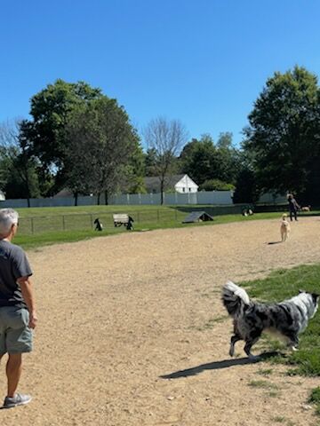 West Goshen Township Dog Park