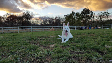 Goddard Dog Park