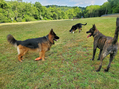 North Park Dog Park #2
