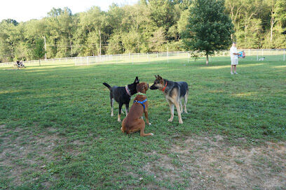 North Park Dog Park