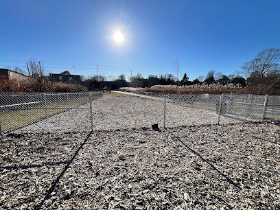 Newport Dog Park (new)