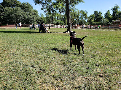 Portsmouth RI Dog Park