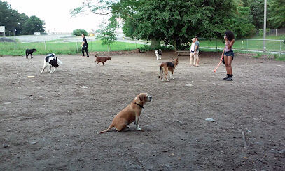 Waterman St. Dog Park