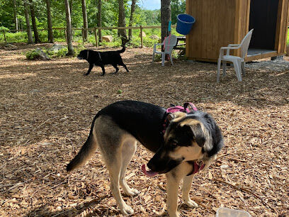 Raymond F Jones Memorial Dog Park