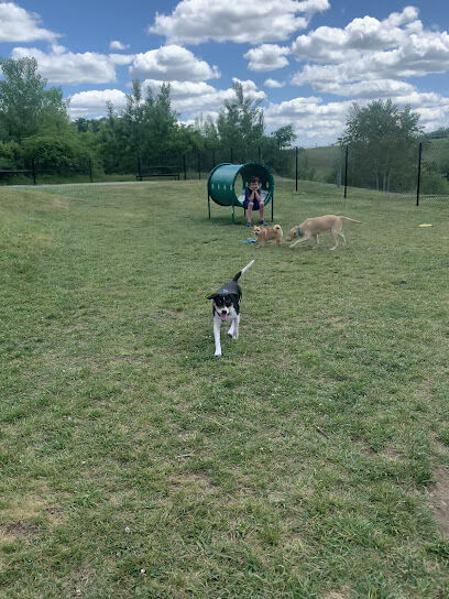 Dog Park at River’s Edge