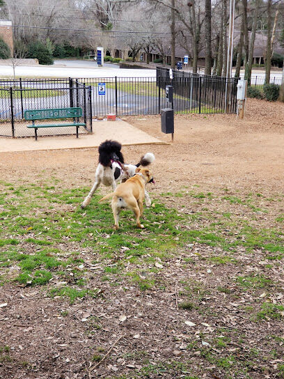 The Dog Park