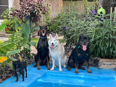Wet -N -Wags private dog park