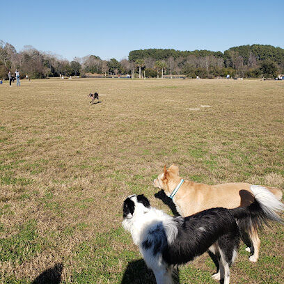 James Island County Park - Dog Park