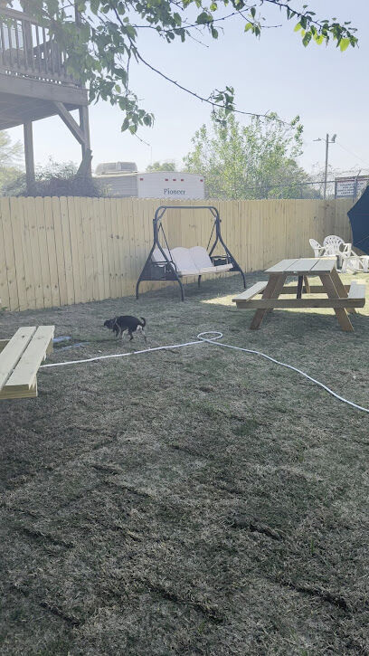 The Dog Bar