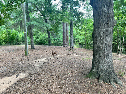 McLeod Park Dog Park