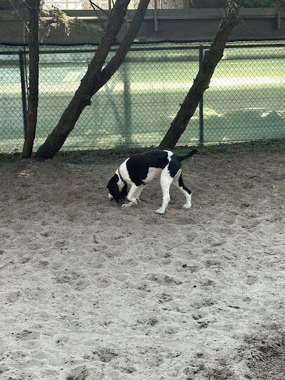 The Bark Park