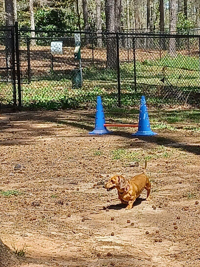 Grace St Dog Park
