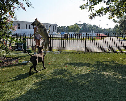 Mixson Avenue Dog Park