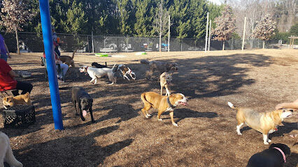 Rail Trail Dog Park