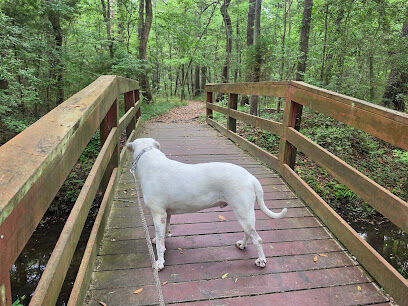 Ashley River Park - Dog Park