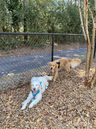 Dog Park @ Carnes Crossroads