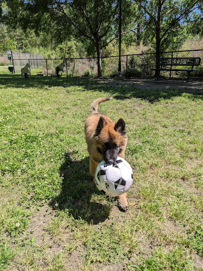 Wescott Dog park