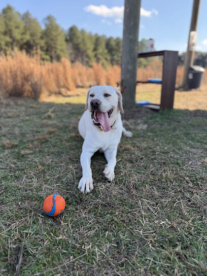Whetstone Road Dog Park - Private Dog Park