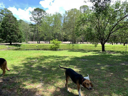 Dawn's Doggie Spot