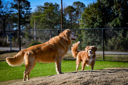 Bark West Dog Park - Membership Required