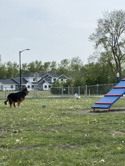 Bark Park