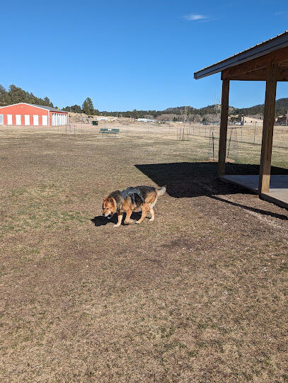 Custer Bark Park