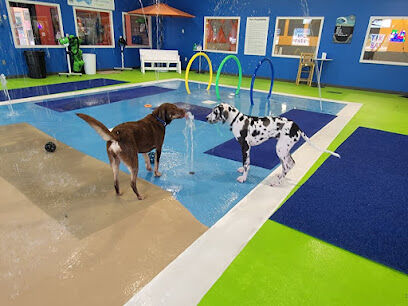The Splash Bark by SDK