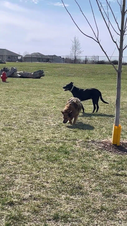 Hartford Dog Park