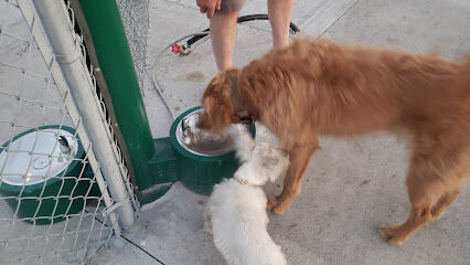 Rover Run (dog park)
