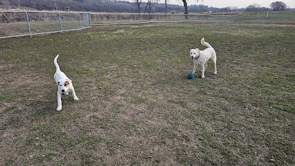 Lien Park Dog Park
