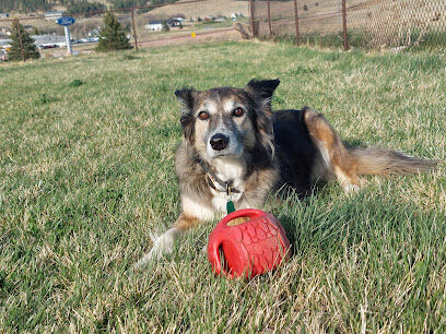 Wareing Motors Off-Leash Dog Park